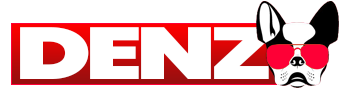 Denz World Logo