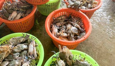 damrong-seafood-farm-1