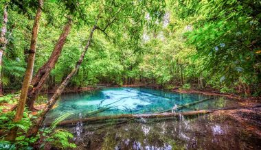 emerald-pool-sa-morakot-krabi-3