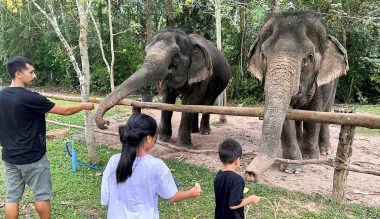 the-elephant-hospital-of-krabi-1