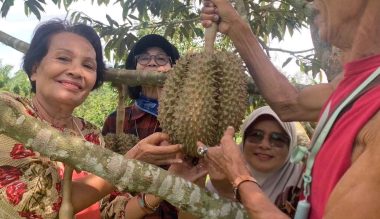 tiraya-durian-farm